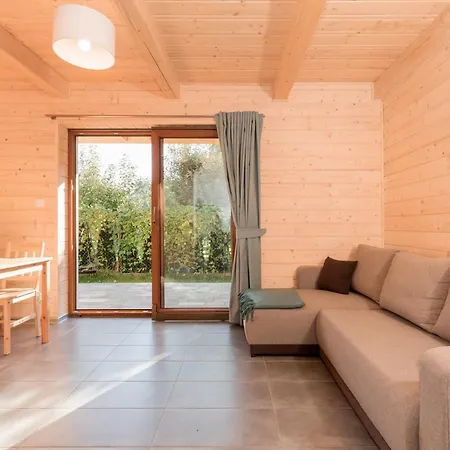 Kameleon2 德兹维济诺