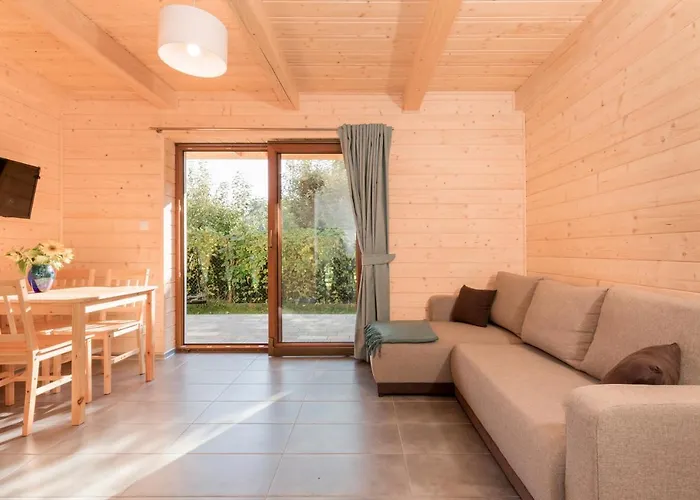 Kameleon2 Dźwirzyno